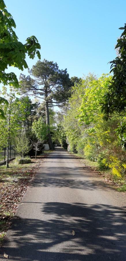 מלון גוז'אן-מסטרה Le Domaine D'Azae מראה חיצוני תמונה